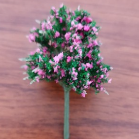 Árbol Color