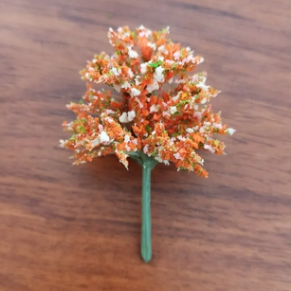 Árbol Color