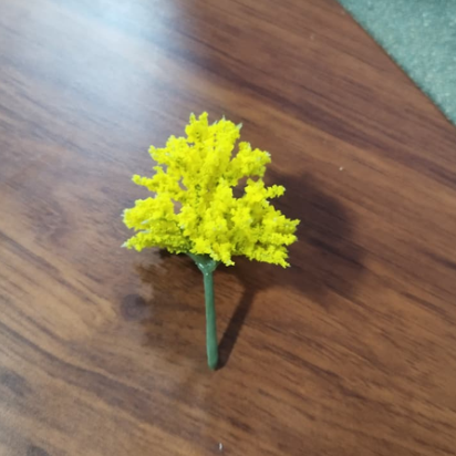 Árbol Color